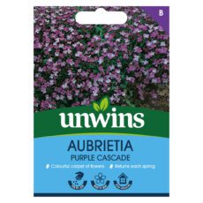 5051618010252 1 Aubrietia Purple Cascade Seeds.jpg